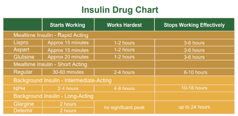 Insulin Therapy for People with Diabetes | OnCallmeters.com